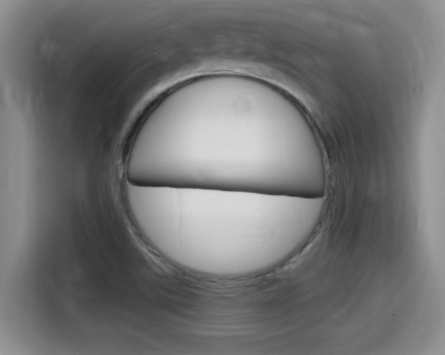 X0000115701507200911120933