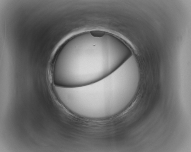 X0000115701510200911120933