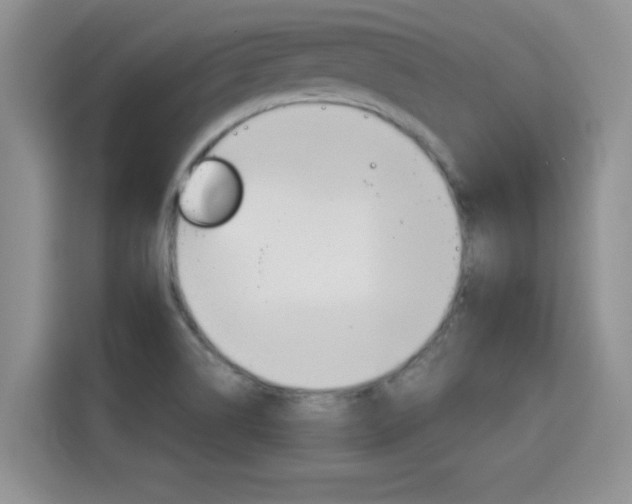 X0000115701514200911120933