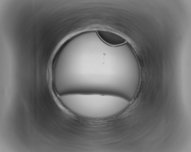 X0000115701515200911120933