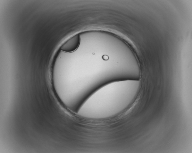 X0000115701517200911120933