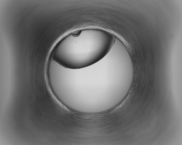 X0000115701518200911120933