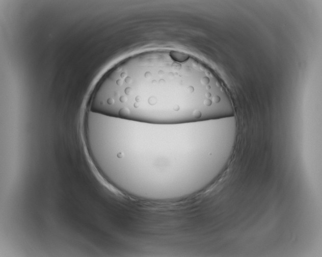 X0000115701519200911120933