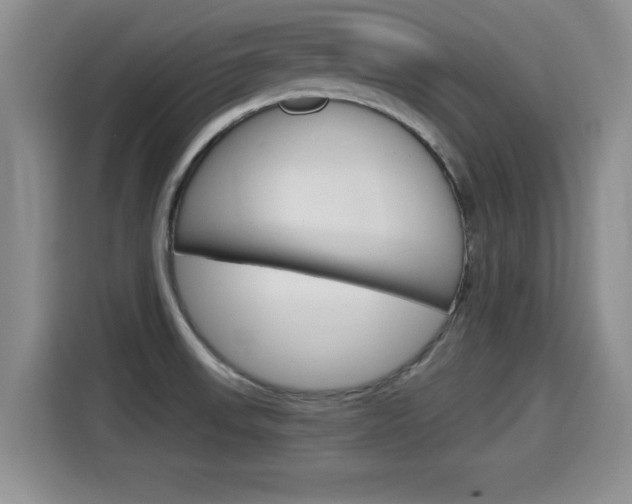 X0000115701523200911120933