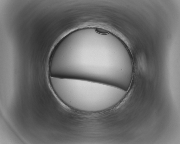 X0000115701525200911120933