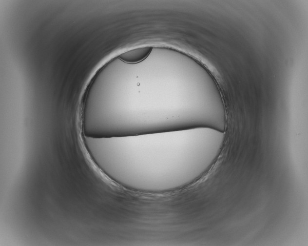 X0000115701526200911120933