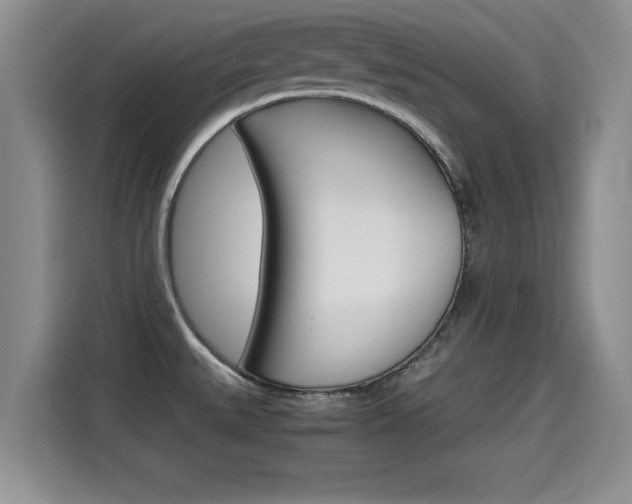 X0000115701527200911120933