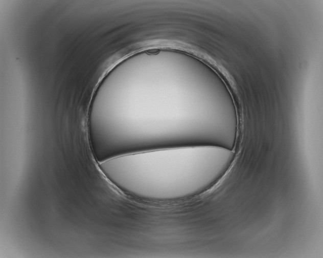 X0000115701529200911120933