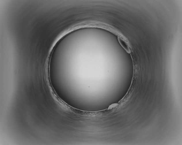X0000115701530200911120933