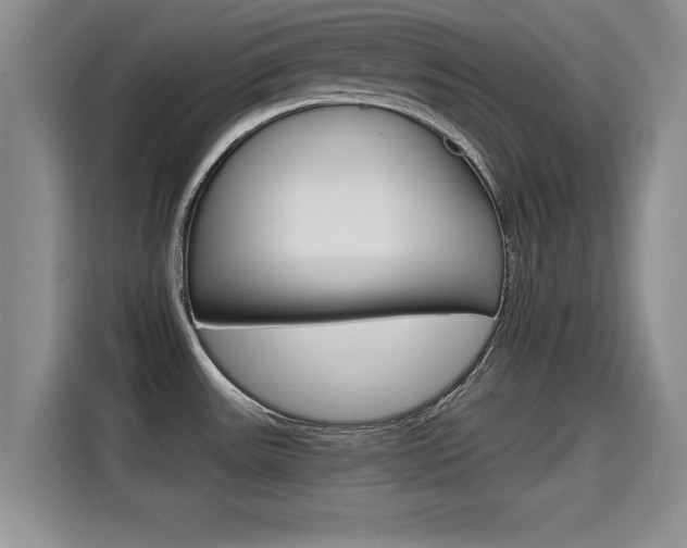 X0000115701531200911120933