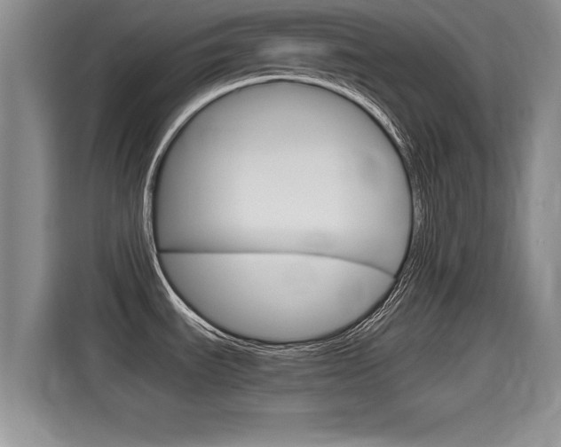 X0000115701535200911120933