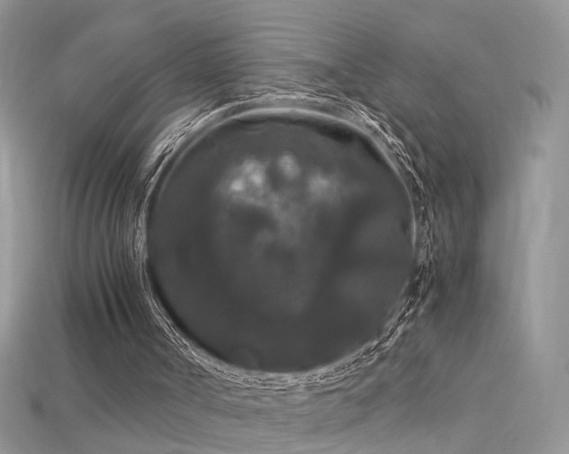 X0000115700002200911121414