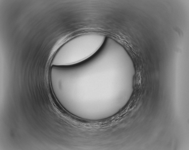 X0000115700004200911121414