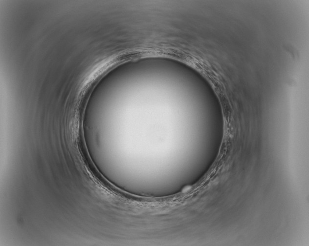 X0000115700005200911121414