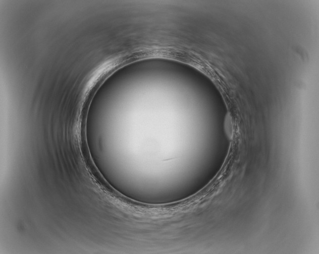 X0000115700006200911121414