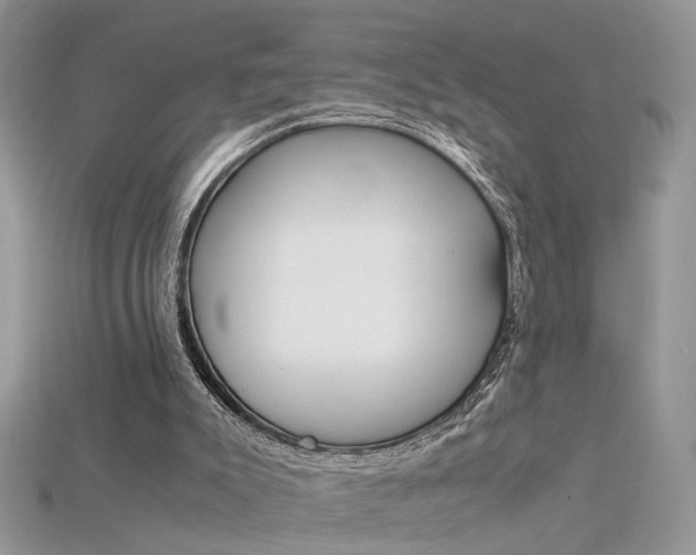 X0000115700007200911121414