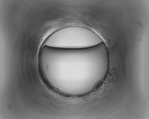 X0000115700008200911121414