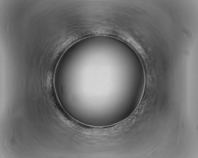 X0000115700009200911121414