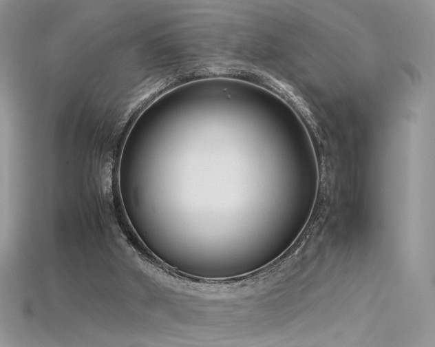 X0000115700010200911121414