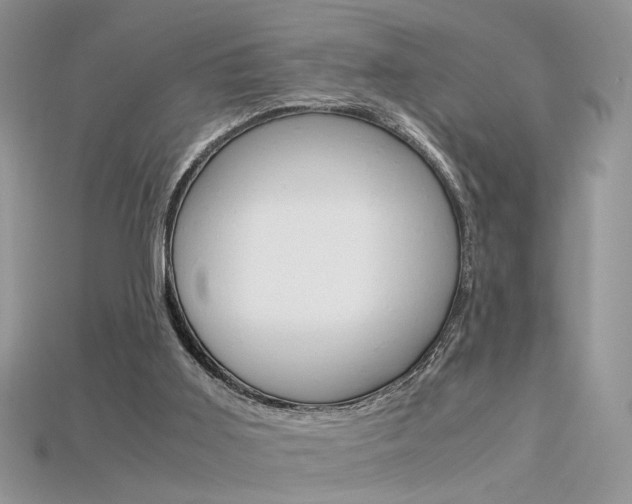 X0000115700011200911121414