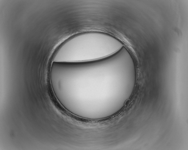 X0000115700012200911121414