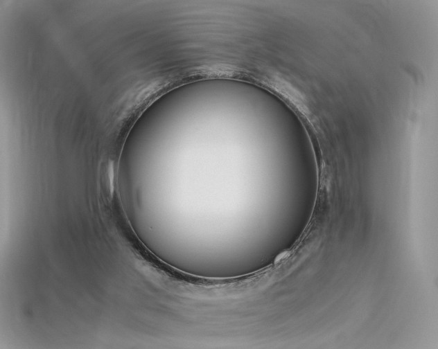 X0000115700013200911121414