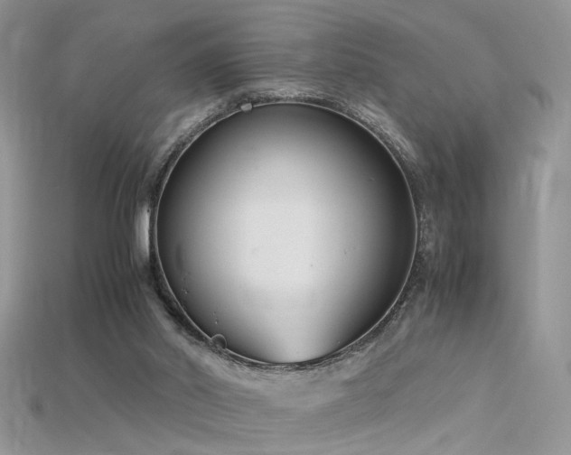 X0000115700014200911121414