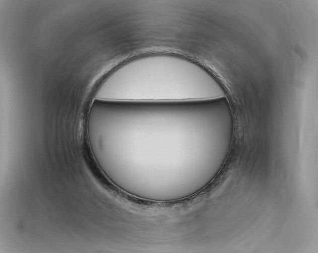 X0000115700016200911121414