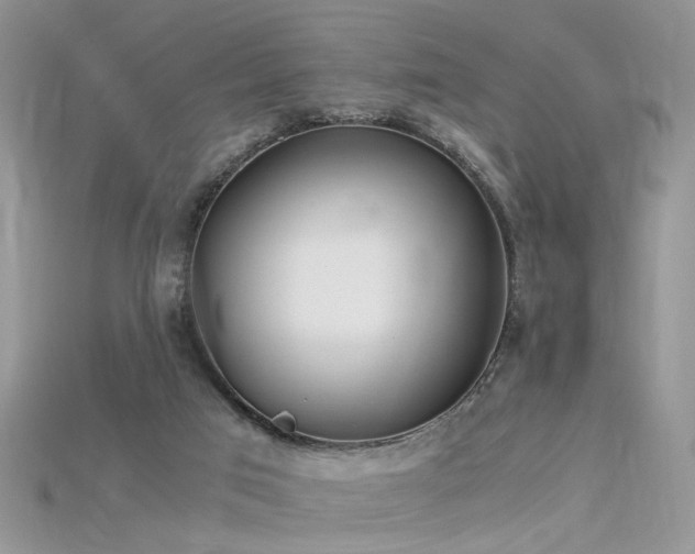 X0000115700017200911121414