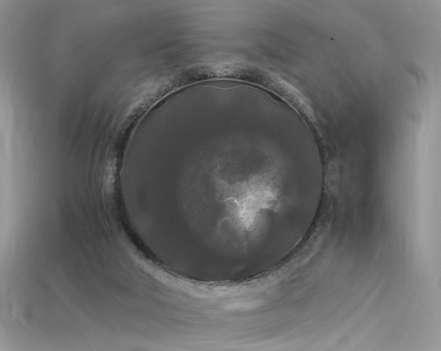 X0000115700018200911121414