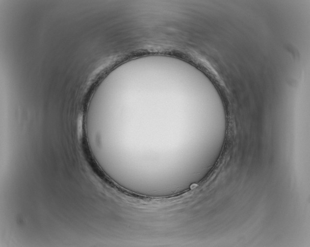 X0000115700019200911121414