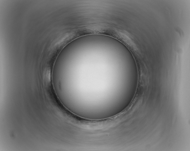 X0000115700021200911121414