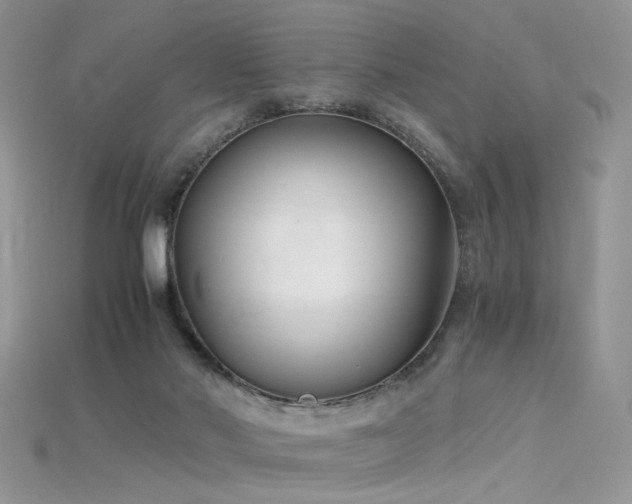 X0000115700022200911121414