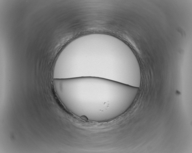 X0000115700023200911121414