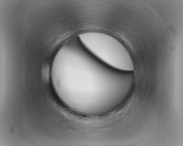 X0000115700024200911121414