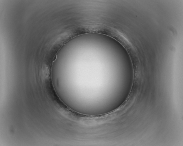 X0000115700025200911121414