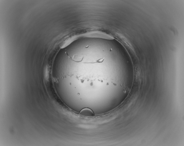 X0000115700026200911121414