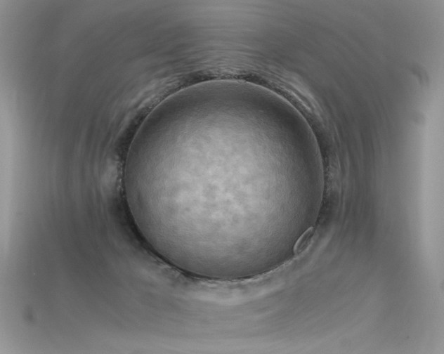 X0000115700029200911121414