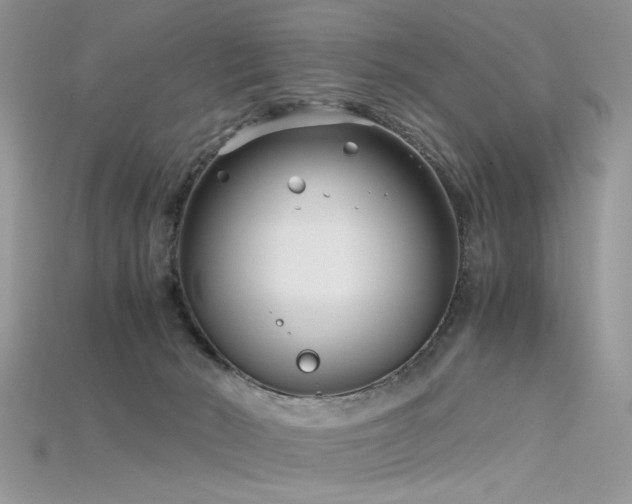 X0000115700030200911121414