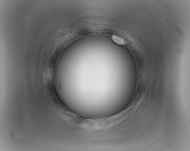 X0000115700033200911121413