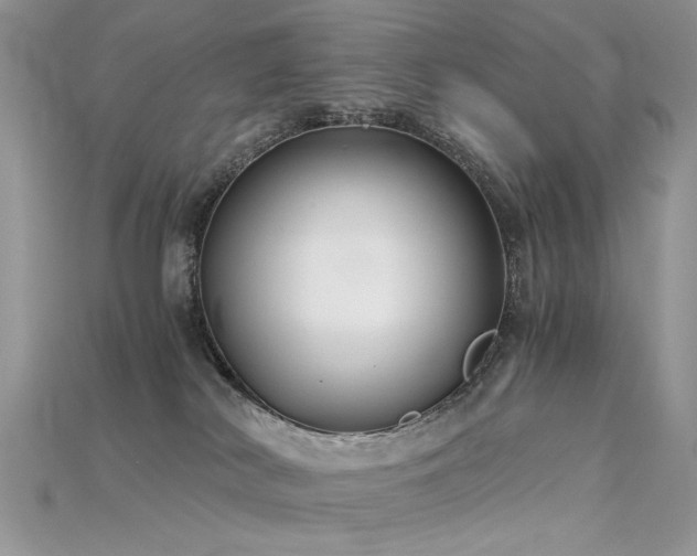 X0000115700038200911121413