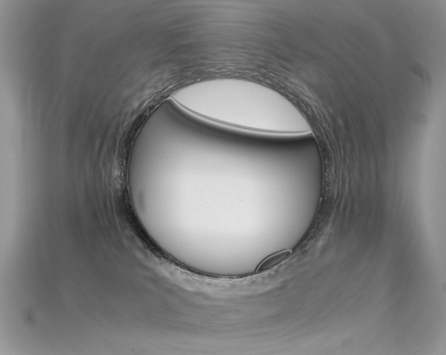 X0000115700039200911121413