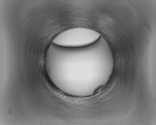 X0000115700040200911121413