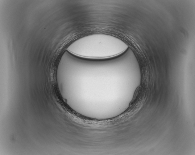 X0000115700044200911121413