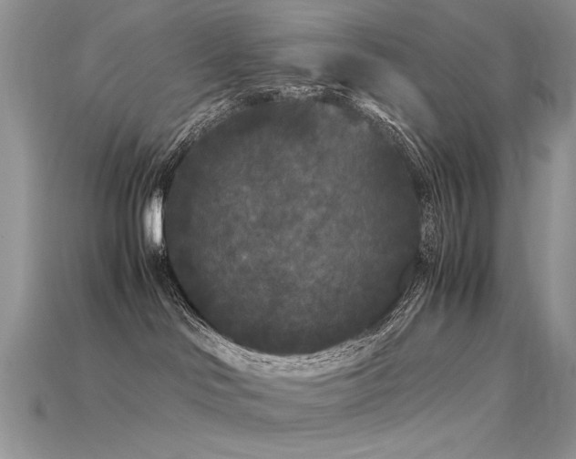 X0000115700046200911121413