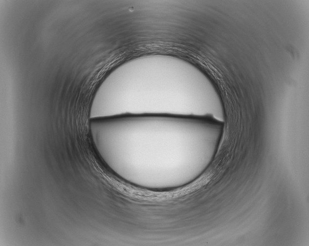 X0000115700048200911121413