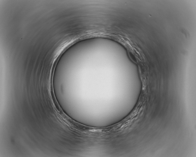 X0000115700052200911121413