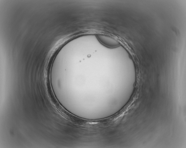 X0000115700055200911121413