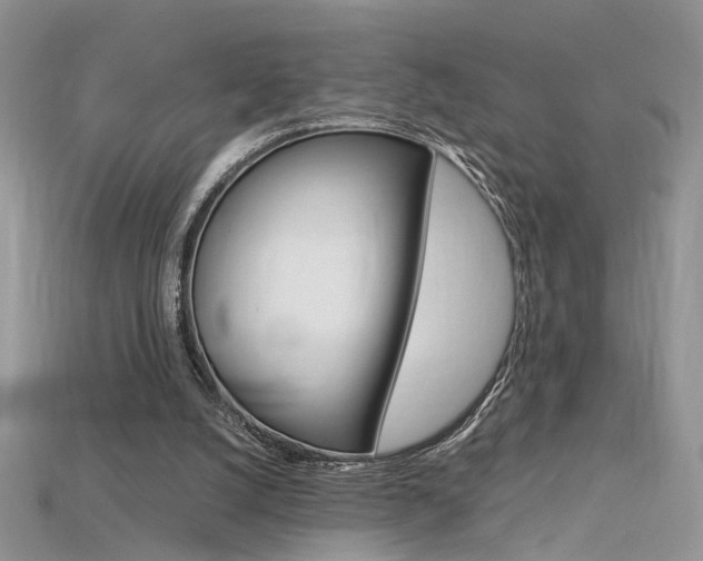 X0000115700056200911121413