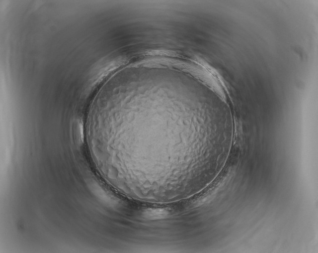 X0000115700061200911121413